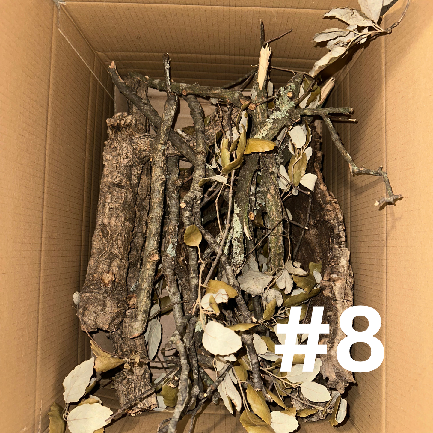 Naturkork-Boxen - Korkröhren, Äste & Platten für Terrarien und Deko