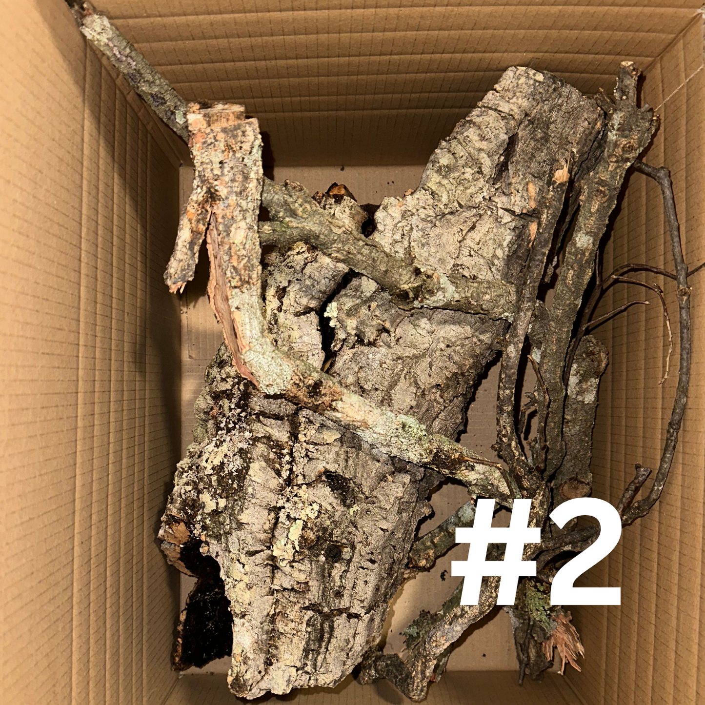 Naturkork-Boxen - Korkröhren, Äste & Platten für Terrarien und Deko