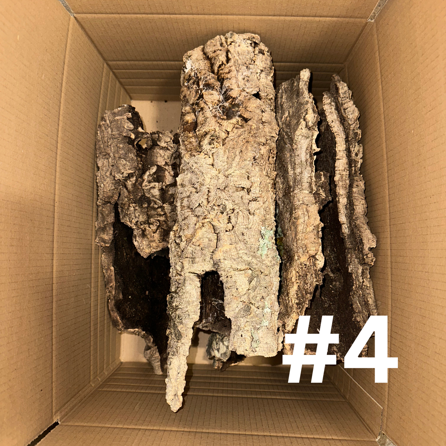 Naturkork-Boxen - Korkröhren, Äste & Platten für Terrarien und Deko