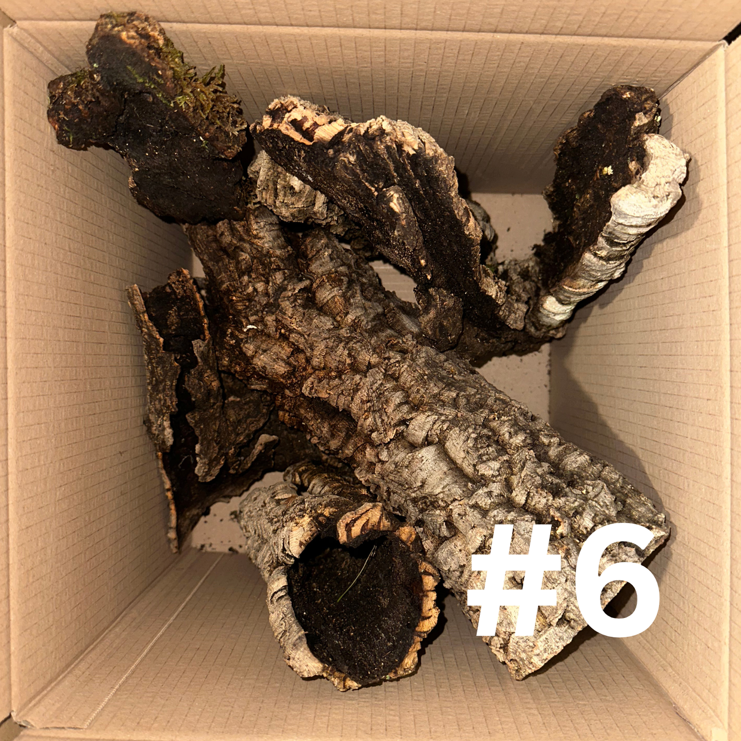 Naturkork-Boxen - Korkröhren, Äste & Platten für Terrarien und Deko