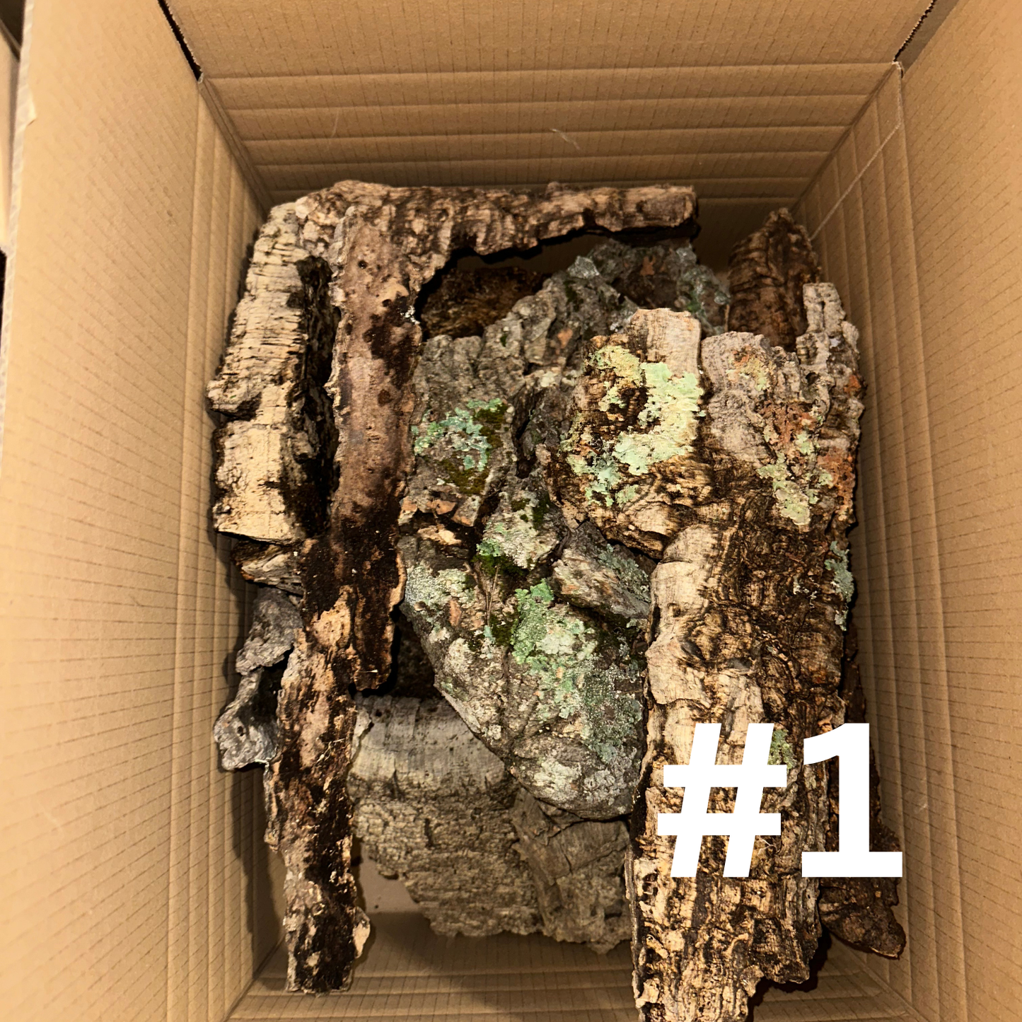 Naturkork-Boxen - Korkröhren, Äste & Platten für Terrarien und Deko