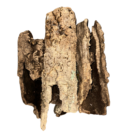 Naturkork-Boxen - Korkröhren, Äste & Platten für Terrarien und Deko