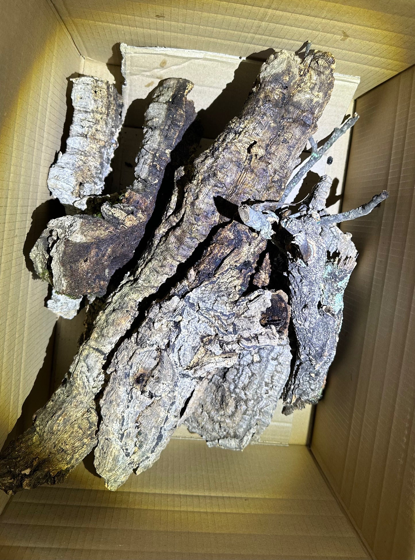 Gemischte Kork Box 1 - 20x40cm